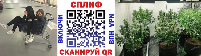 Купить наркоту Кудымкар MEGA ССЫЛКА КОКАИН МЕФ Конопля Альфа ПВП