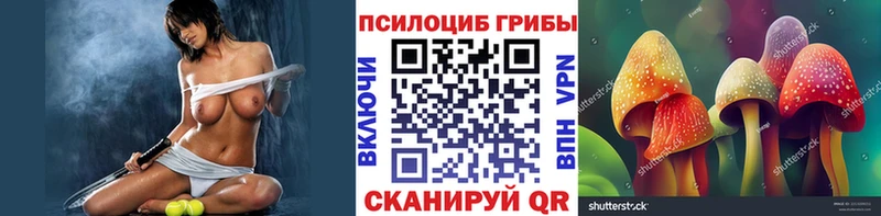 купить наркотики цена Кудымкар Галлюциногенные грибы GOLDEN TEACHER