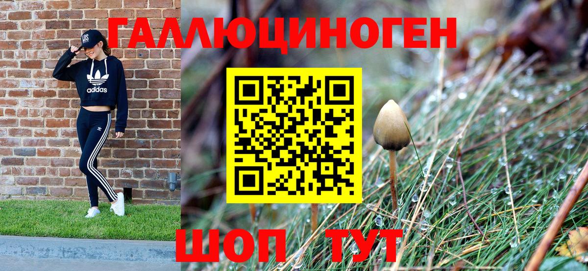 Кудымкар  Галлюциногенные грибы мухоморы  Вход с VPN 