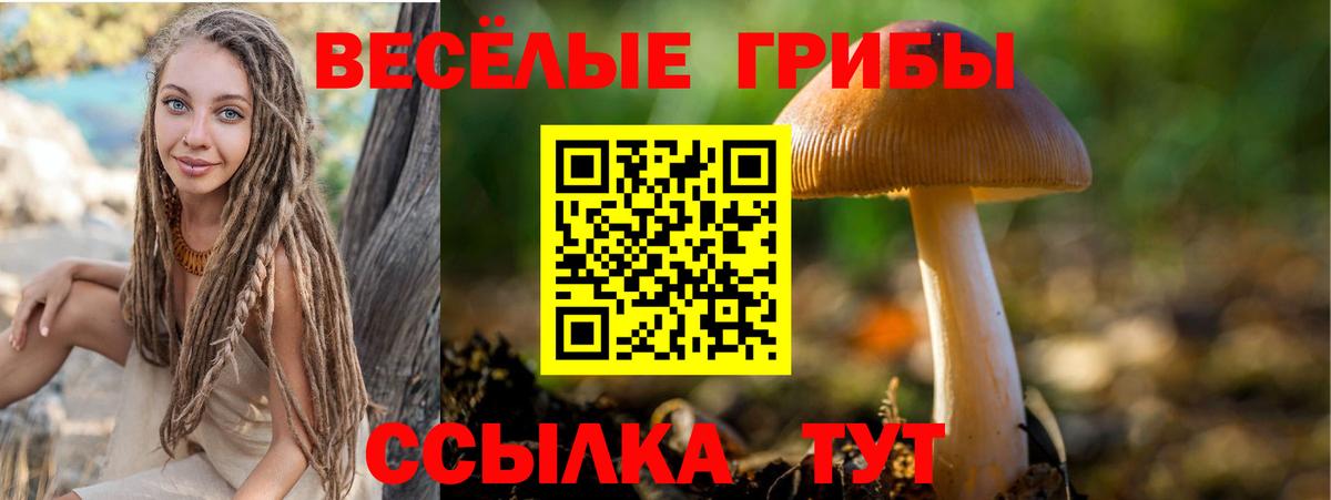 Псилоцибиновые грибы мухоморы Кудымкар